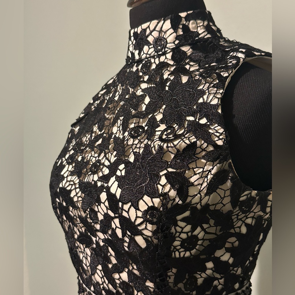 Babyonline D.R.E.S.S. Black Lace Open-Back Cocktail Dress - Picture 4 of 7